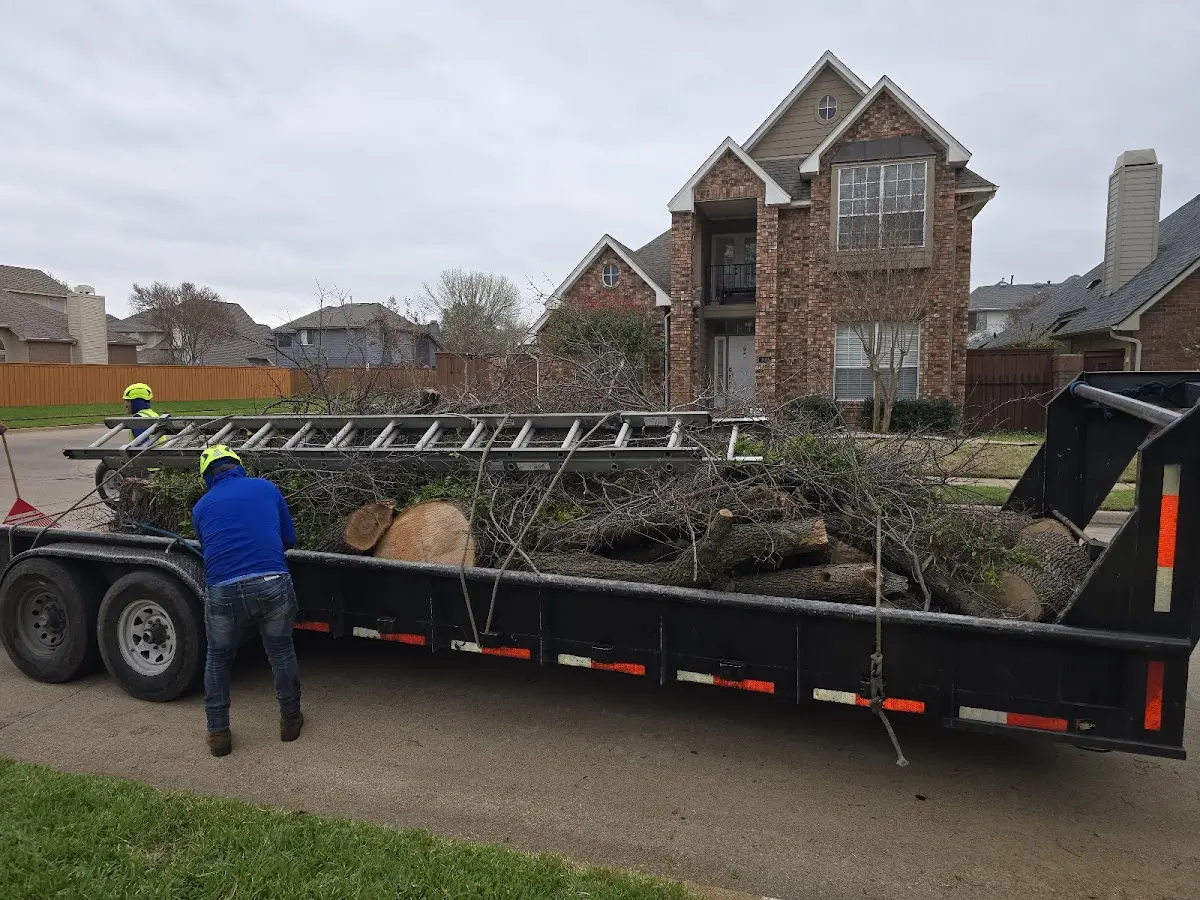 Expert Tree Pest Control with proper safety equipment in Bloomingdale